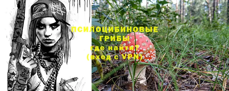 Галлюциногенные грибы Cubensis  как найти наркотики  Верхнеуральск 